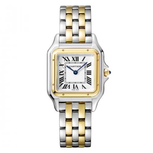Cartier Panthère Steel Gold Small